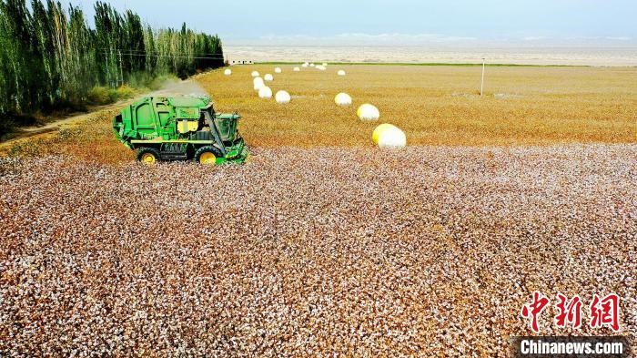 近年來，當?shù)孛藁ǚN植戶的生產(chǎn)生活發(fā)生了翻天覆地的變化?！《?攝