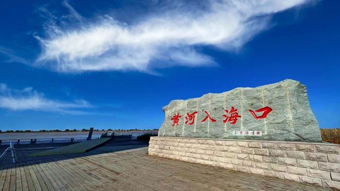 △黃河入?？谖挥谏綎|東營(yíng)市墾利區(qū)。(總臺(tái)央視記者彭漢明拍攝)