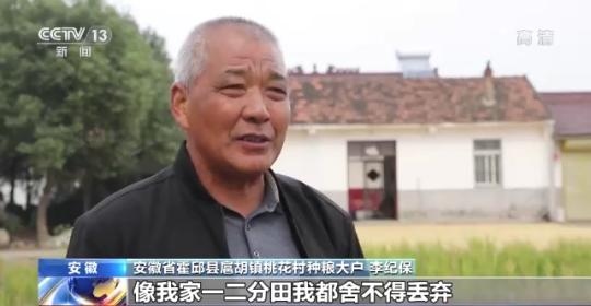 十八連豐！秋收近九成 我國(guó)糧食產(chǎn)能穩(wěn)步提升