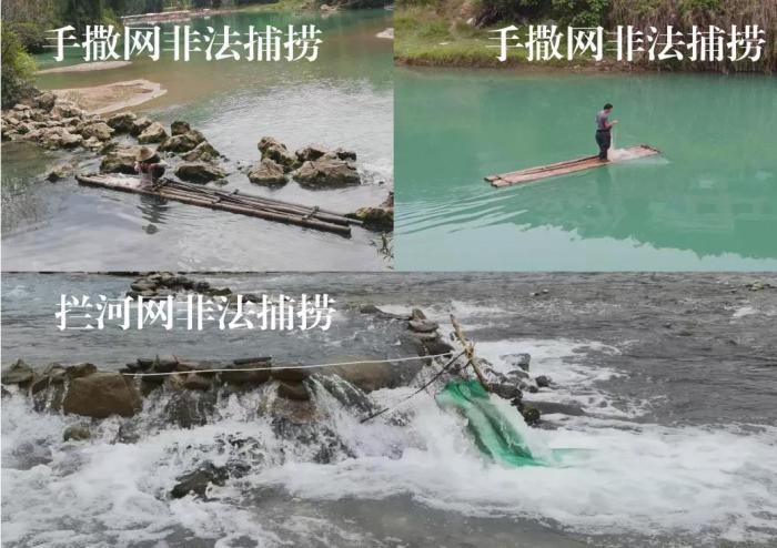 2021年9—10月，前期暗查發(fā)現(xiàn)，保護(hù)區(qū)核心區(qū)內(nèi)非法捕撈行為十分猖獗