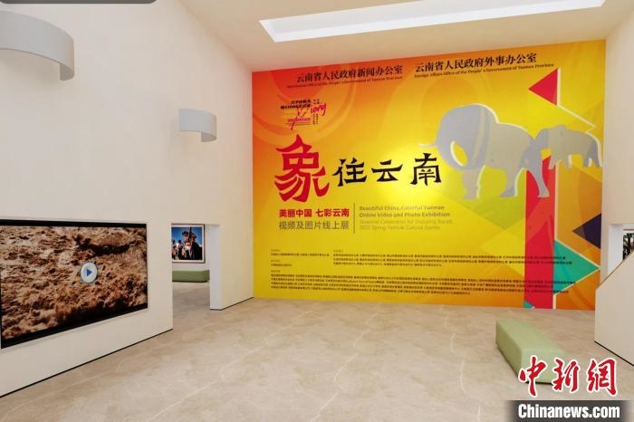 圖為“象”往云南——美麗中國 七彩云南視頻及圖片線上展截圖。　胡遠航 攝