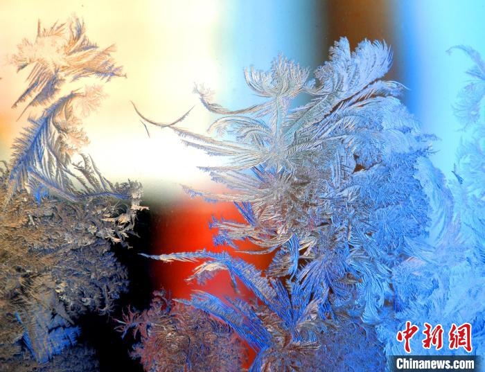 冰窗花千姿百態(tài)?！O書(shū)程 攝