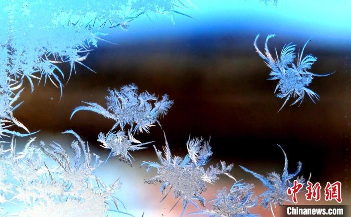 玉樹(shù)瓊枝盈滿窗?！O書(shū)程 攝