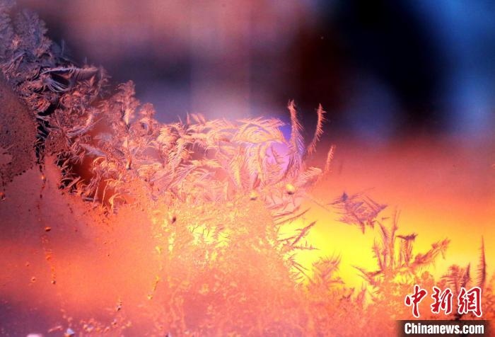 迎著光亮，冰窗花絢麗多姿。　孫書(shū)程 攝