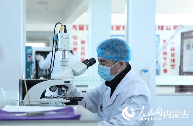 內(nèi)蒙古中農(nóng)興安種?？萍加邢薰韭鋺艨朴抑衅?，為肉牛產(chǎn)業(yè)發(fā)展提供了優(yōu)質(zhì)的種源保障。白俊華攝