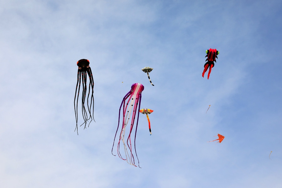 1619265888385136.jpg 7O5A8051.JPG