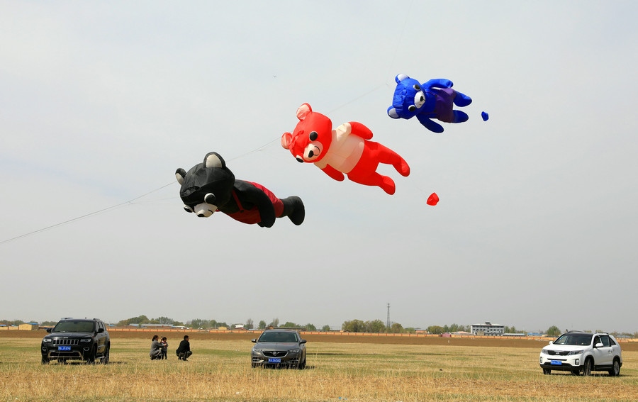 1619265983726638.jpg 7O5A8049.JPG