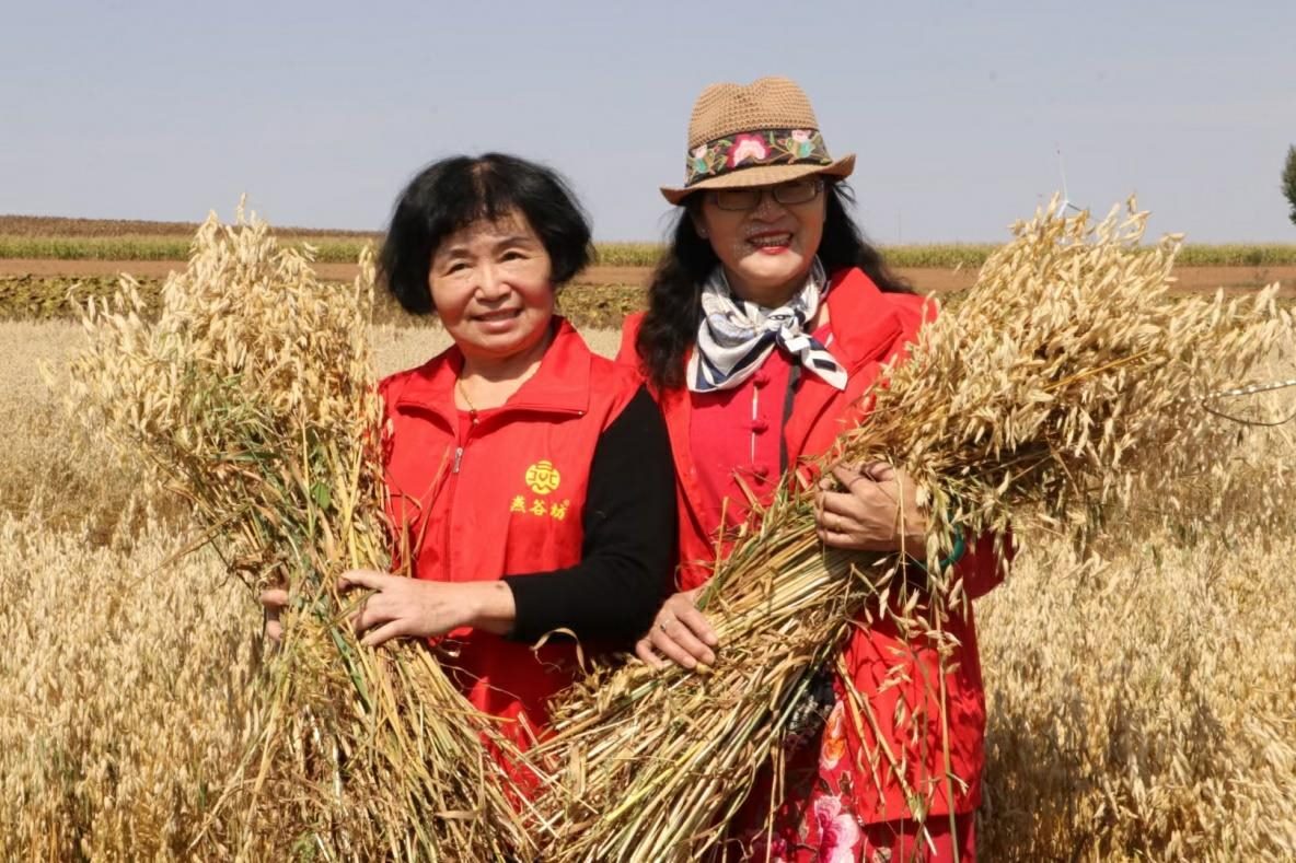 1632446454383797.jpg 1632446454383797.jpg