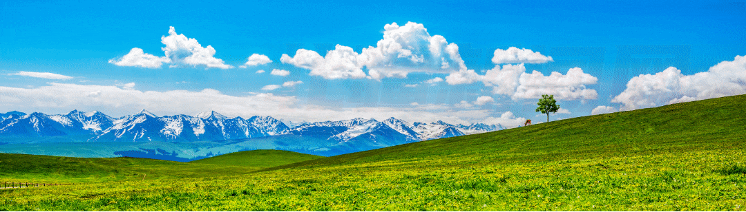 1668585364799788.gif 640.gif