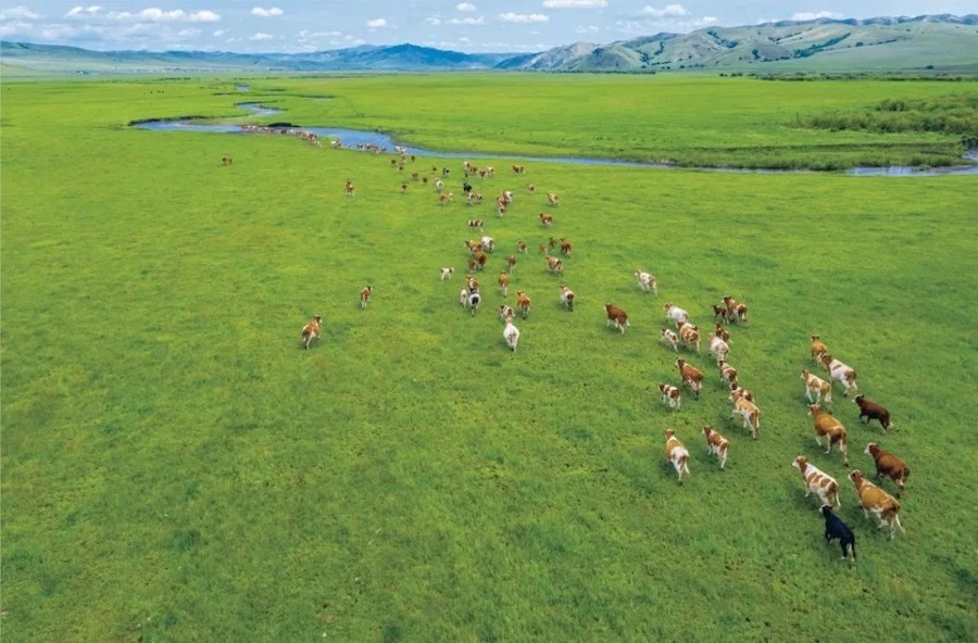 1719929149129357.png b956cb74e84e04398d50777a0eb2d7ab.png