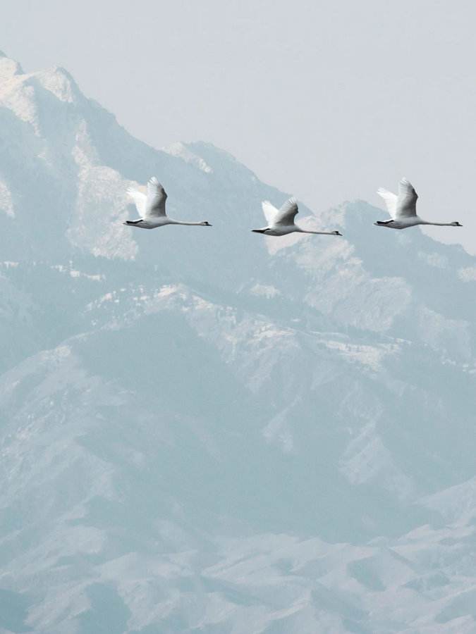 1735285845999585.jpg 1.活動(dòng)展板(1).jpg