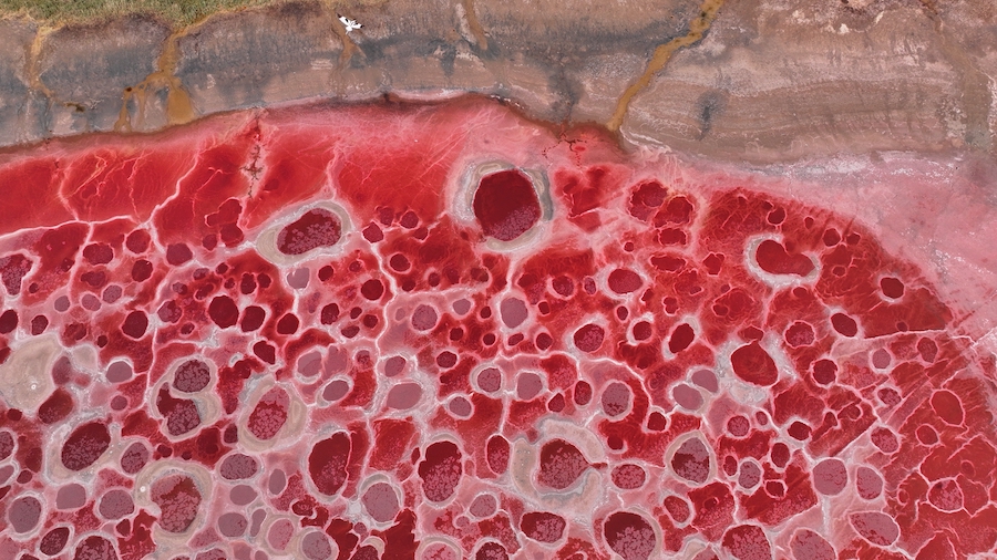 朝寶拍攝 (3).jpg