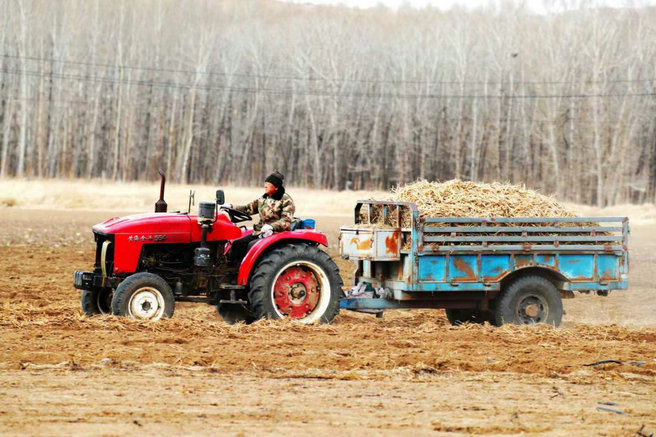 1774942757625122.jpg 藥材2.jpg