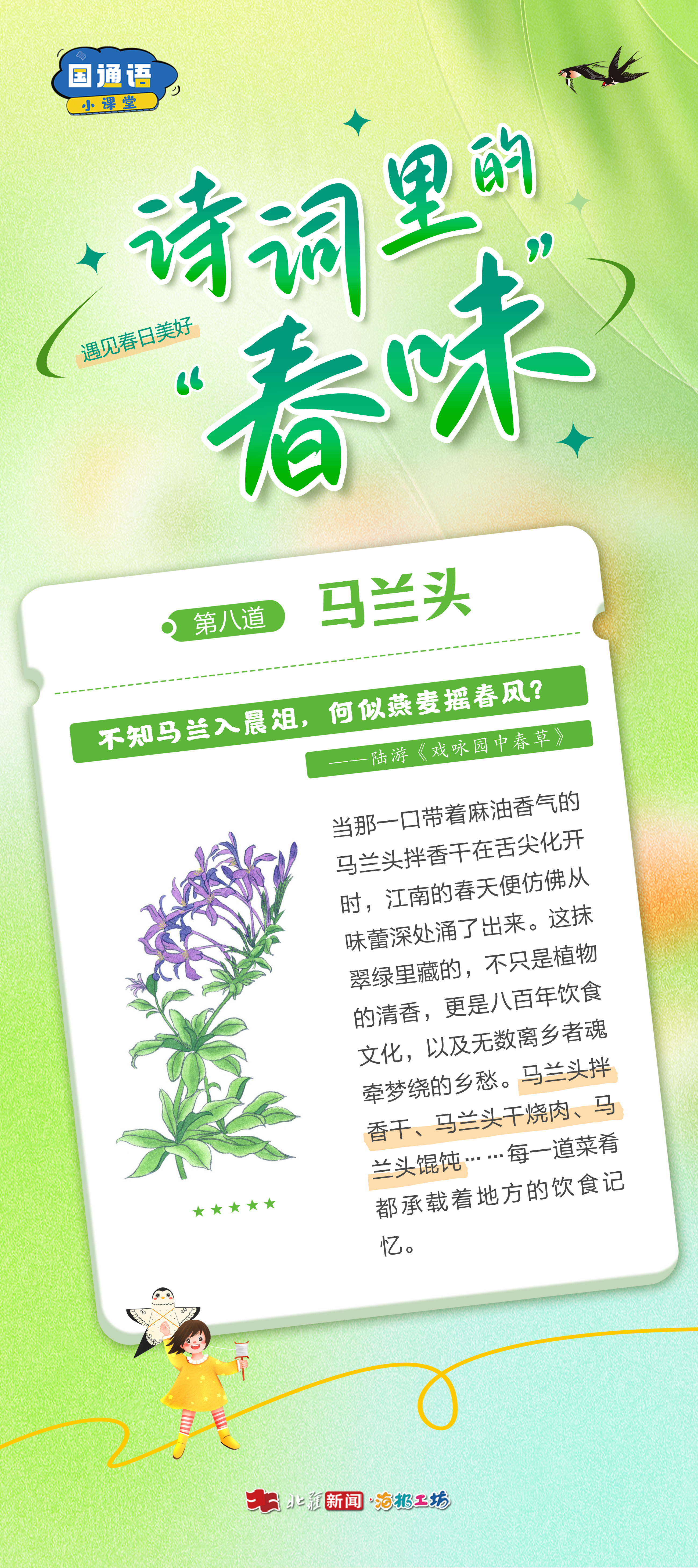 1776311812582349.jpg 馬蘭頭.jpg