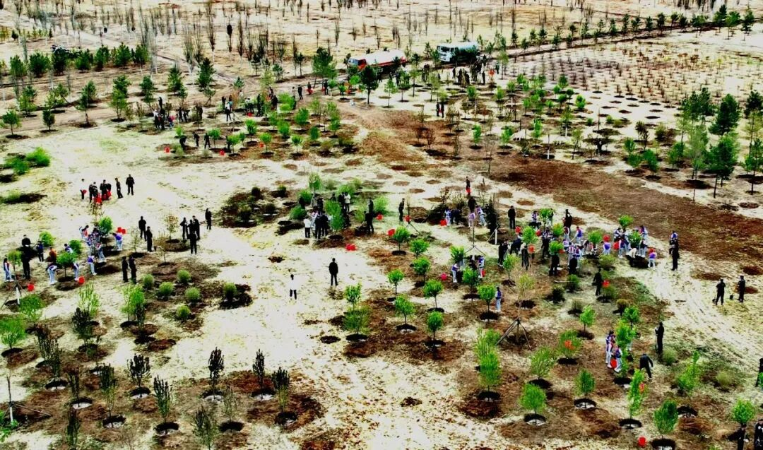 1776332536547149.png untitled0.png