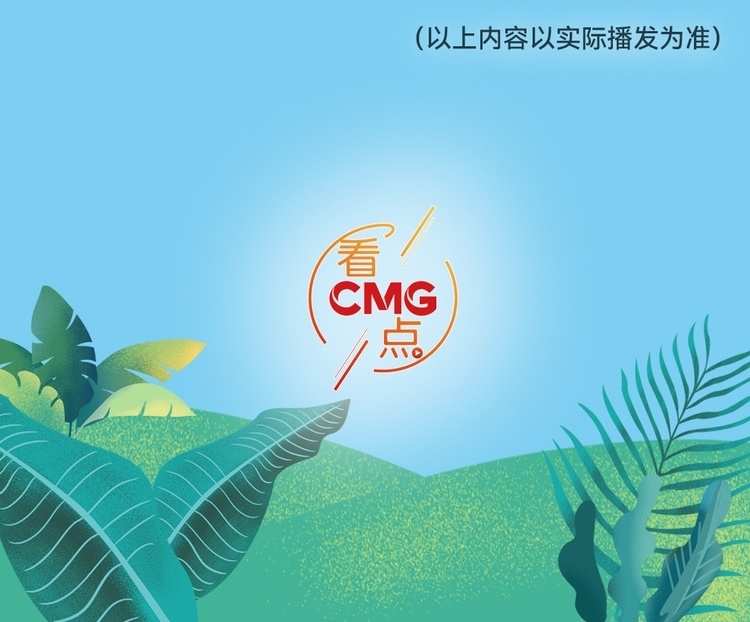 總臺周看點，來了！