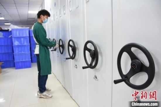 圖為鄭州大學(xué)人骨考古實(shí)驗(yàn)室內(nèi)的骨骼標(biāo)本庫(kù)。王宇 攝