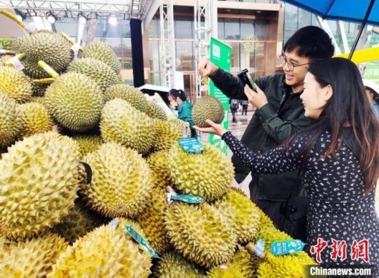 圖為廣西南寧市民在選購(gòu)榴蓮。黃艷梅 攝