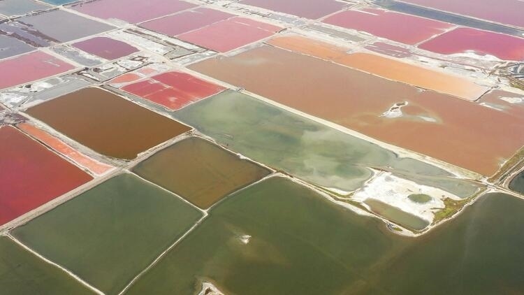 鑒往知來(lái)，跟著總書(shū)記學(xué)歷史丨走進(jìn)一座博物館，尋根五千年中華文明