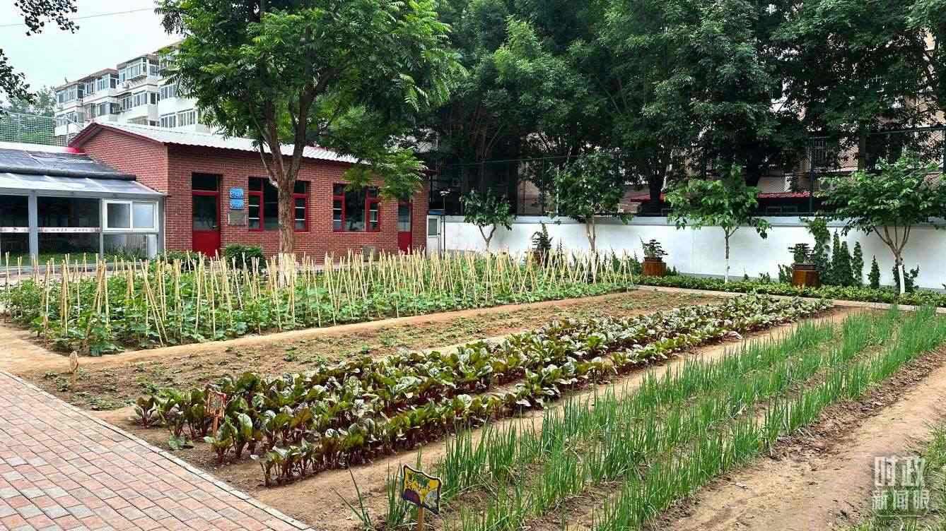 △學(xué)生農(nóng)場。（總臺央視記者趙化拍攝）