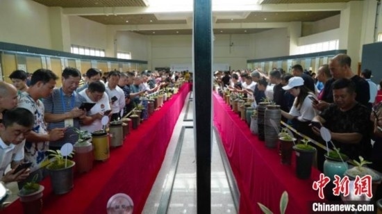 圖為活動現(xiàn)場。 云南省委臺辦供圖