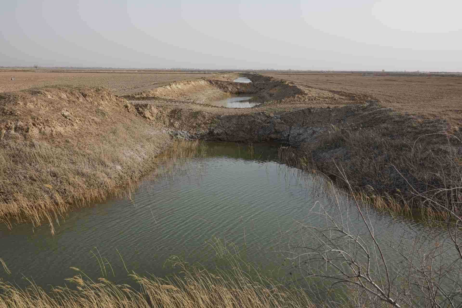 堵塞的排堿渠。 人民網(wǎng)記者 游天燚攝