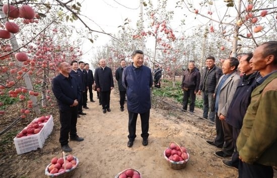2022年10月26日，習(xí)近平總書記在陜西省延安市安塞區(qū)高橋鎮(zhèn)南溝村蘋果園同老鄉(xiāng)們親切交流。