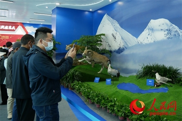 6月17日，觀眾正在觀展。人民網(wǎng) 韋衍行攝