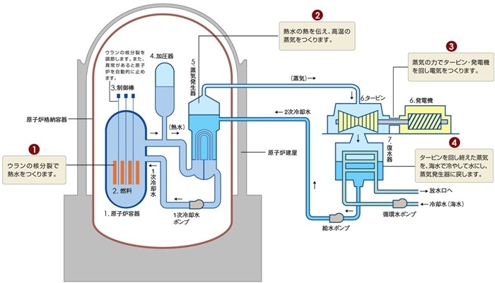 核電站運(yùn)作原理圖。通常的核電站排水未直接接觸核燃料。（圖片來(lái)源：日本北海道電力株式會(huì)社網(wǎng)站）