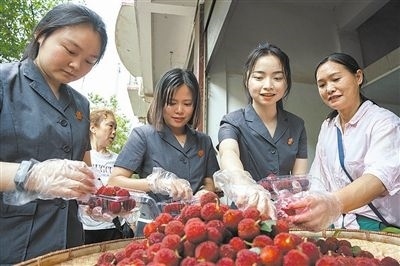 志愿者和村民一起將摘下的楊梅裝進(jìn)食品盒里。