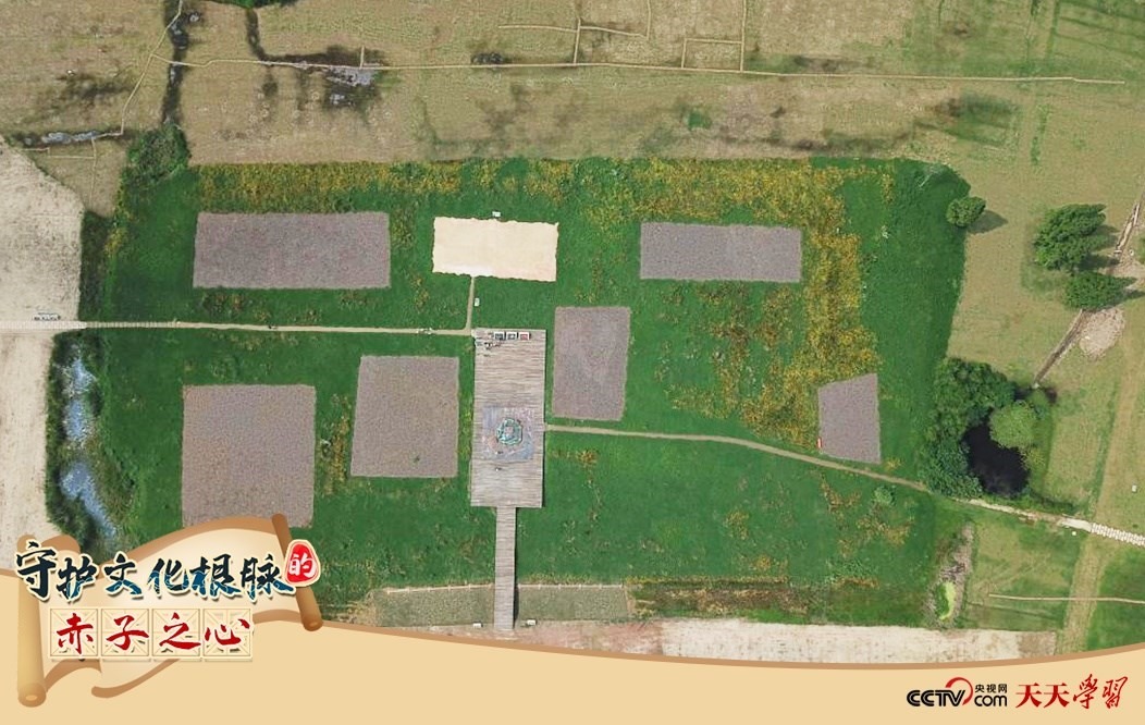 2019年6月23日無人機拍攝的良渚國家考古遺址公園的宮殿區(qū)。