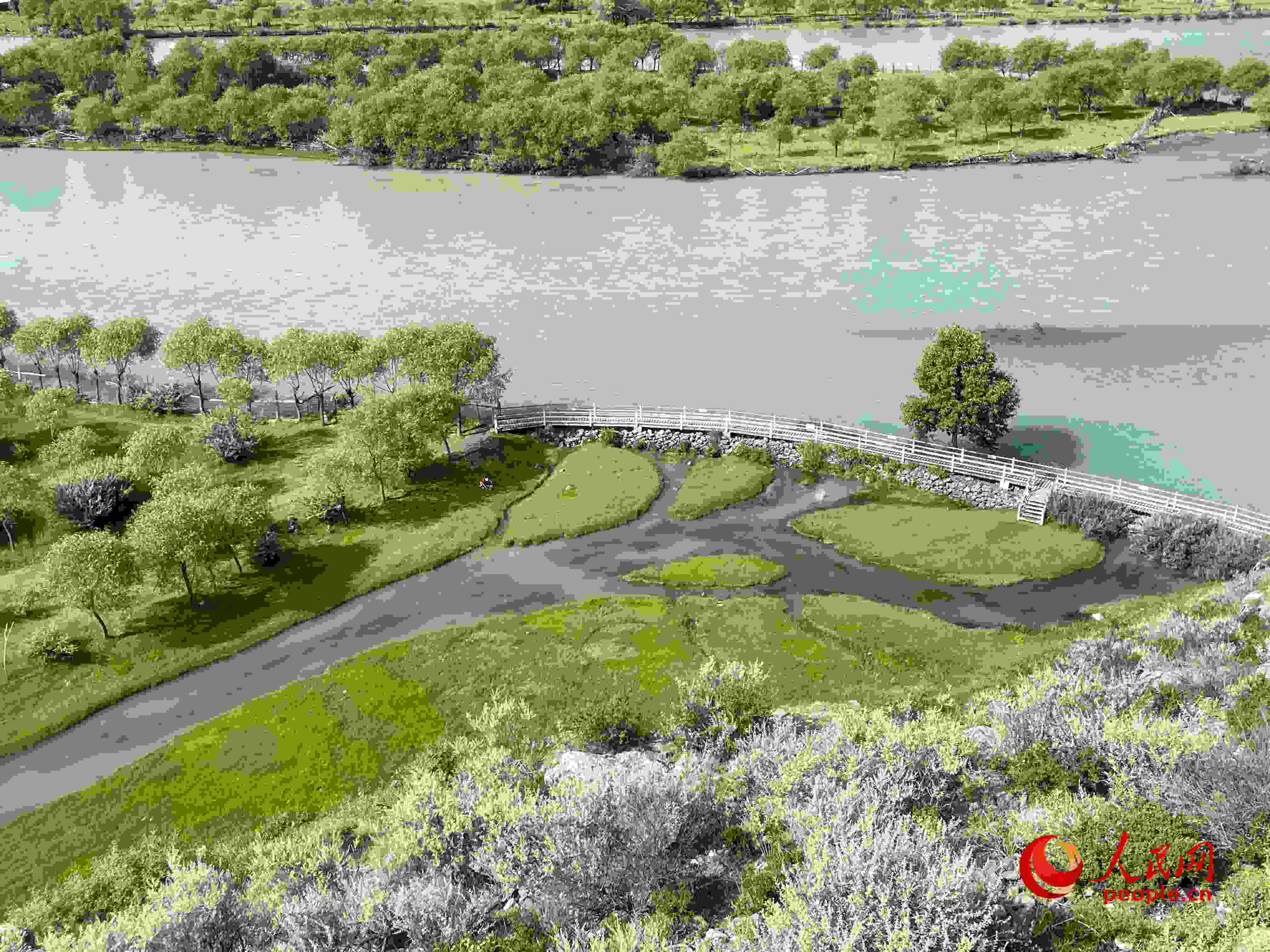 夏日的雅尼國家濕地公園生機(jī)盎然，如詩如畫。人民網(wǎng) 周靜圓攝