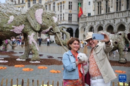 8月11日，觀眾在比利時(shí)布魯塞爾“鮮花時(shí)光”展覽上拍照。新華社記者 趙丁喆攝