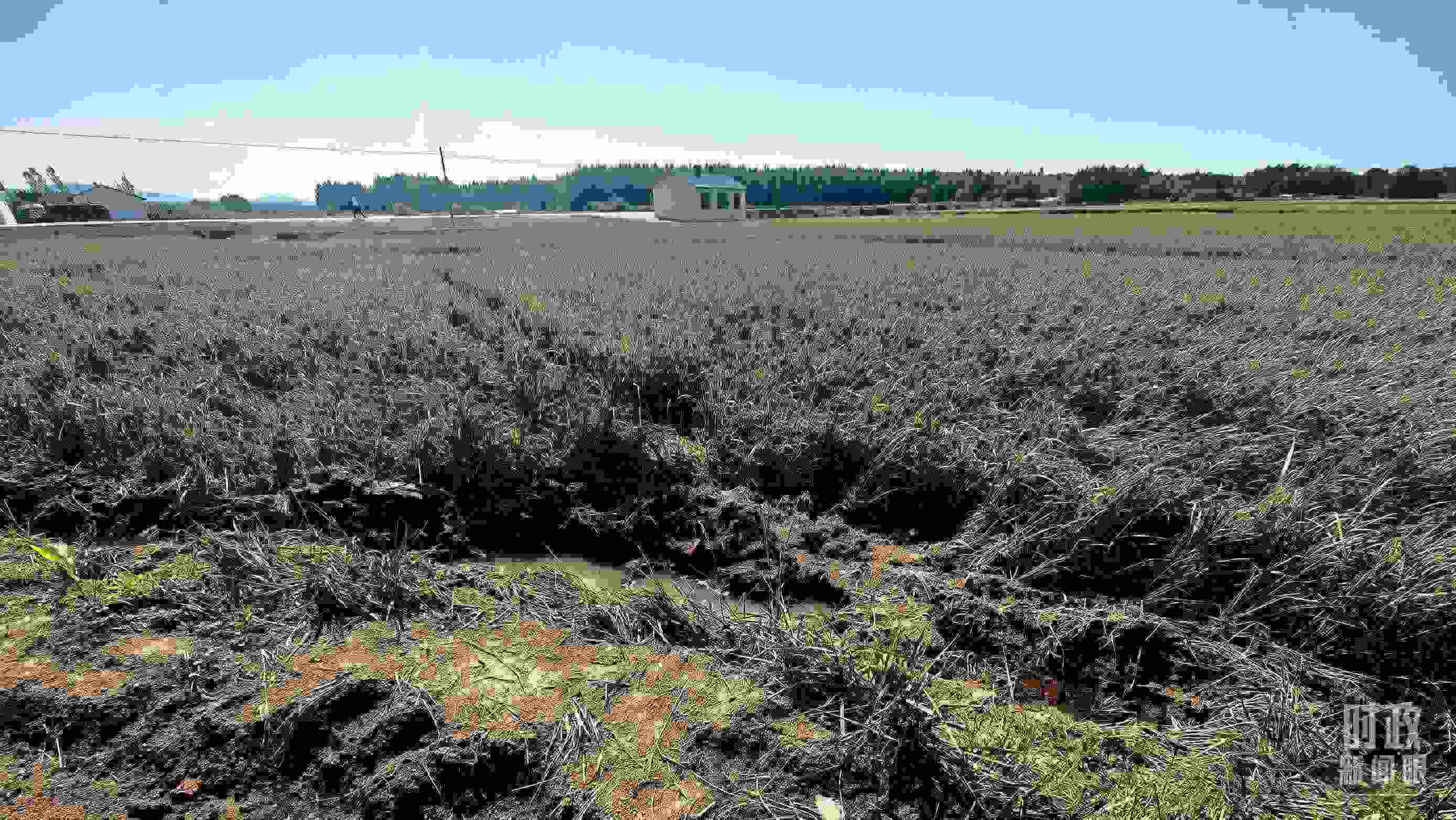 △圖為龍王廟村在洪災(zāi)中受損的農(nóng)田。（總臺(tái)央視記者史偉拍攝）