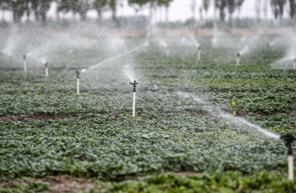 2023年5月25日，在寧夏銀川市永寧縣望洪鎮(zhèn)宋澄村冷涼蔬菜種植基地，小型噴灌節(jié)水設(shè)備在進(jìn)行噴灌作業(yè)。新華社記者 馮開(kāi)華 攝