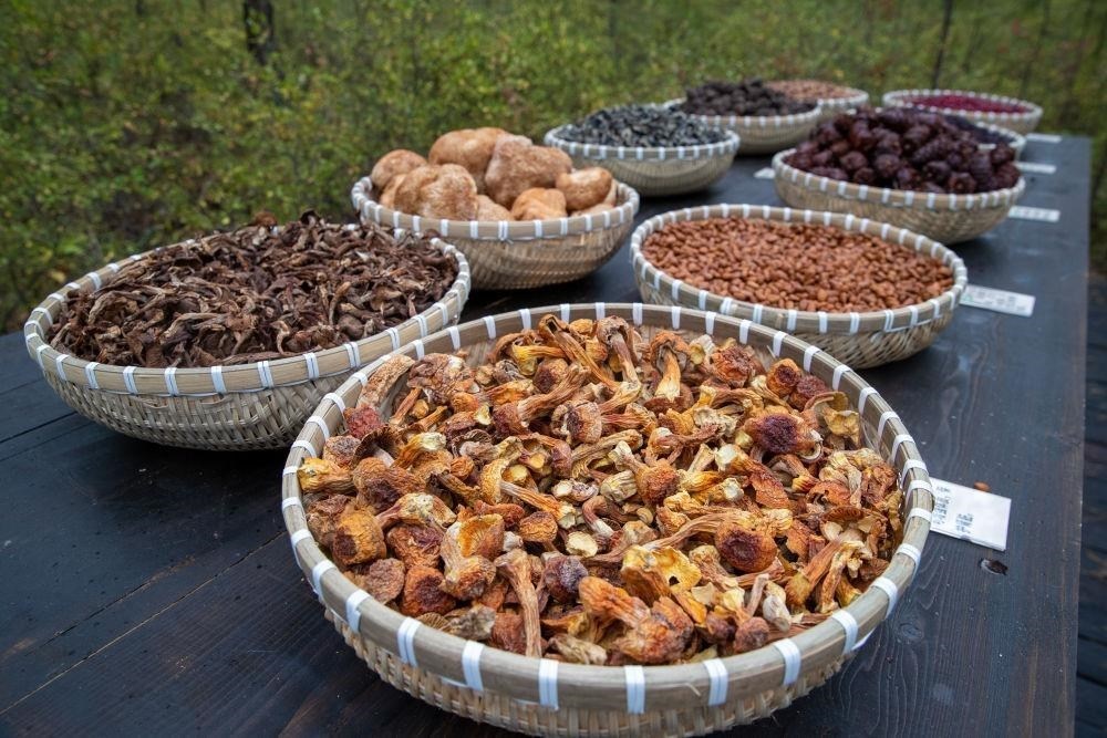 △近日，漠河市北極村一景區(qū)展示的林下產(chǎn)品。