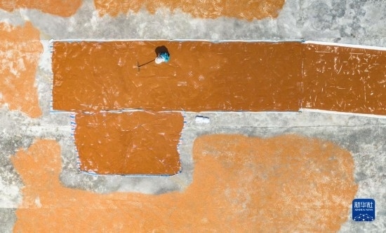 9月16日，農(nóng)民在貴州省安順市西秀區(qū)大西橋鎮(zhèn)吉昌村晾曬高粱（無(wú)人機(jī)照片）。