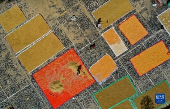 9月16日，貴州省黔東南苗族侗族自治州丹寨縣南皋鄉(xiāng)石橋村村民在晾曬農(nóng)作物（無(wú)人機(jī)照片）。