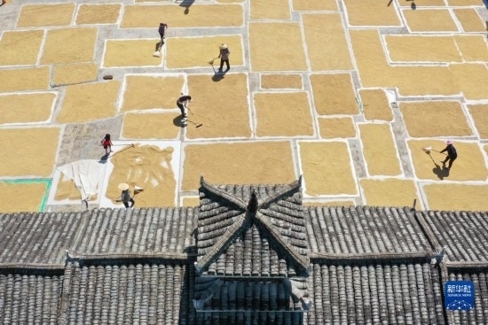 9月16日，村民在貴州省黔東南苗族侗族自治州從江縣剛邊壯族鄉(xiāng)三聯(lián)村晾曬稻谷（無(wú)人機(jī)照片）。