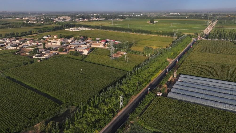 東興村周邊建起防護(hù)林網(wǎng)（無(wú)人機(jī)照片，2023年9月12日攝）。新華社記者李云平 攝