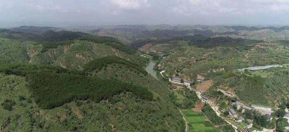 黃土溝壑中的高西溝村滿眼綠色（無(wú)人機(jī)照片，2023年7月26日）。新華社記者陳昌奇 攝