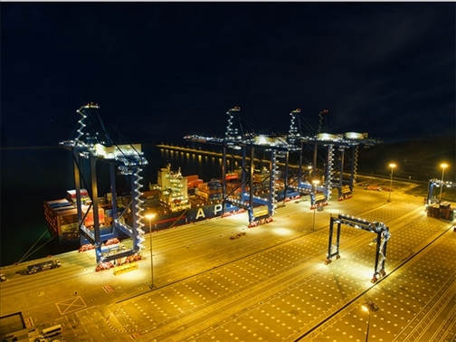 萊基港實行7×24小時裝卸作業(yè)機(jī)制。受訪者供圖