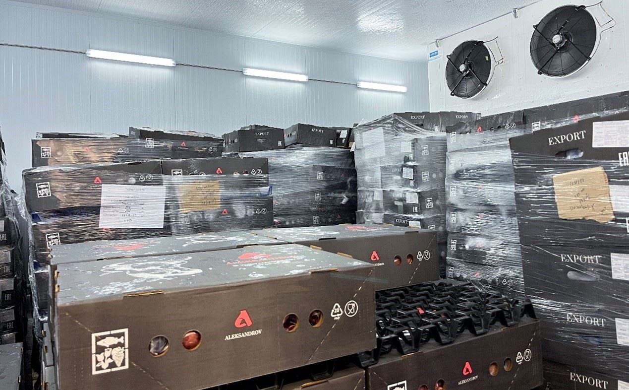 恒溫冷庫(kù)中，包裝好的牛肉等待發(fā)往中國(guó)。人民網(wǎng)記者 朱虹攝