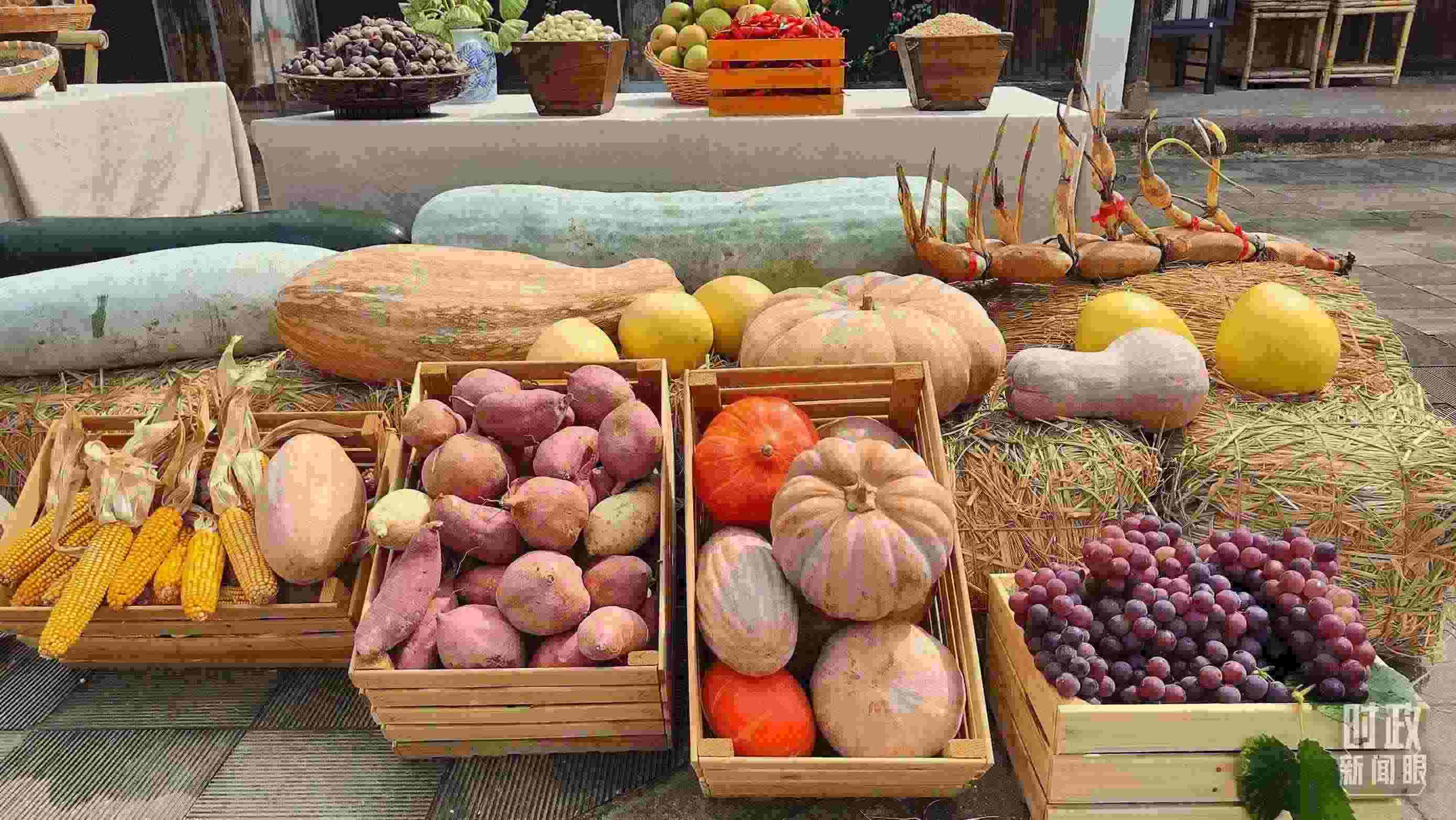 △村廣場(chǎng)“共富市集”，擺放著種類(lèi)豐富的特色農(nóng)產(chǎn)品。（總臺(tái)央視記者楊立峰拍攝）