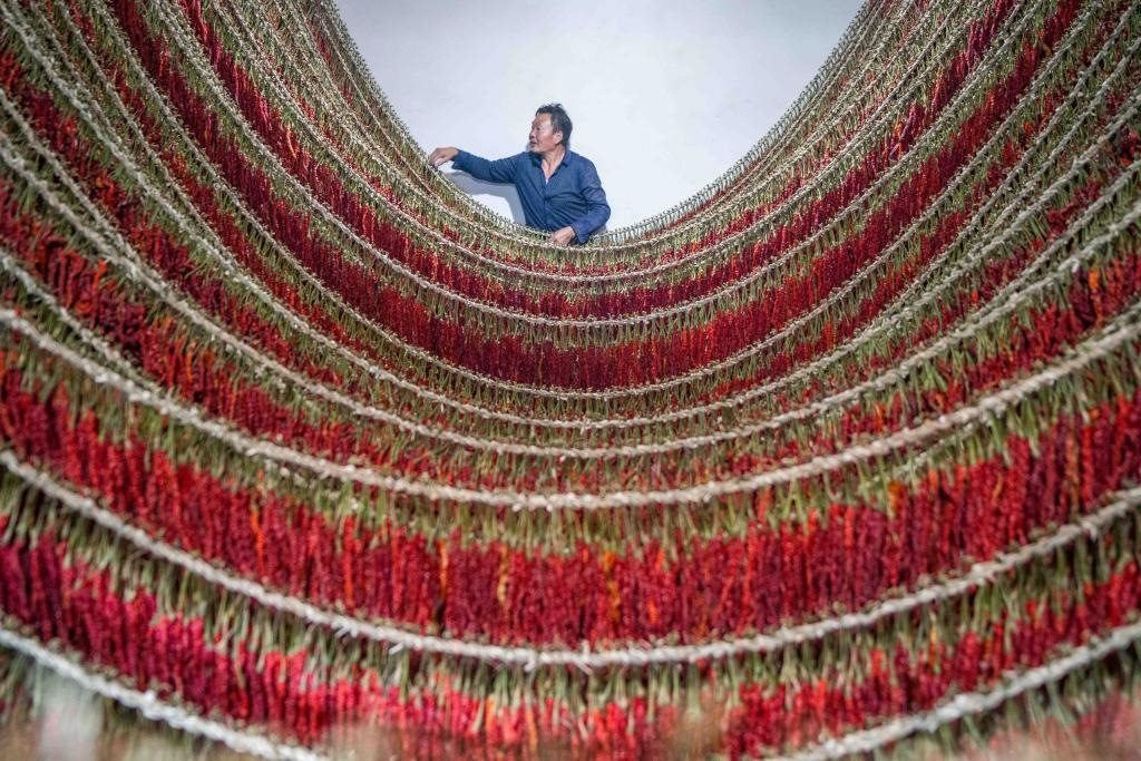 在貴州省畢節(jié)市大方縣理化鄉(xiāng)金雞村，村民查看辣椒烘干情況。新華社發(fā) 羅大富攝