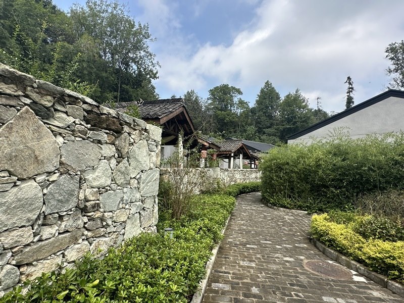 眾多民宿坐落于夫子山山麓。人民網 王紹紹攝