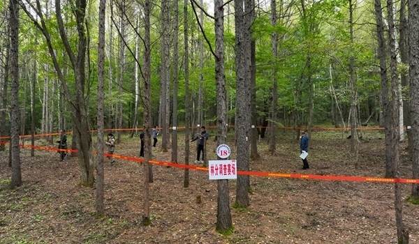 競(jìng)賽現(xiàn)場(chǎng)。圖片來(lái)源：國(guó)家林業(yè)和草原局