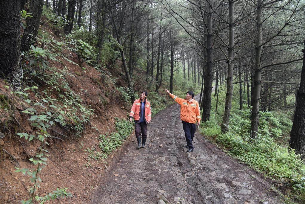 海雀村生態(tài)護(hù)林員馬正安（左）和海雀村林管員王光德（右）在日常巡山護(hù)林。新華社記者 李凡 攝