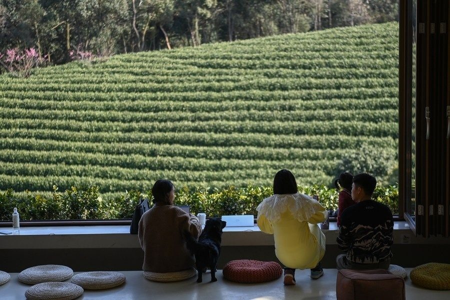 游客在浙江省安吉縣黃杜村萬(wàn)畝茶園邊的咖啡館休閑（2023年2月21日攝）。