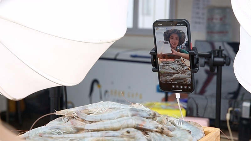 江蘇連云港，村民進(jìn)行直播銷售。范堯攝